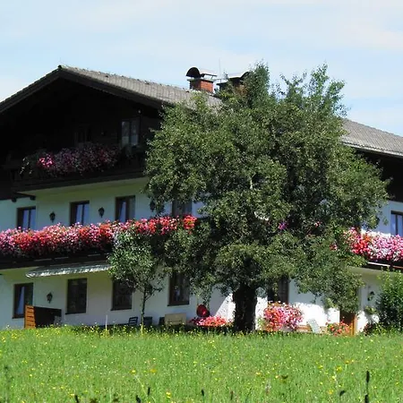 Guest house Vorderwimmhof Abtenau